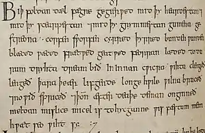 Portion du Livre d’Exeter (xe siècle) avec la forme du g insulaire pour la lettre g.
