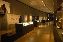 Hall d'exposition.