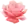 icône décorative