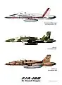 F/A-18B.
