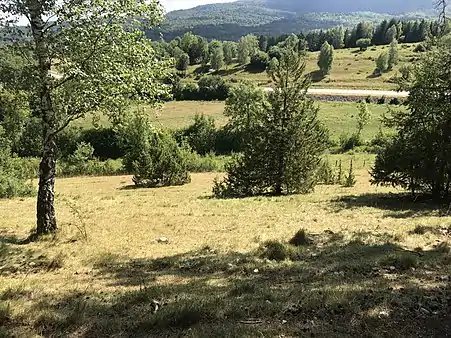Zone Natura 2000 - pelouses sèches et prés de fauche de Charchilla.