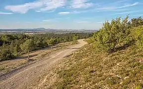 Vue depuis le sud dans la montagne de la Gardiole à Fabrègues.
