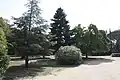 Jardins du domaine