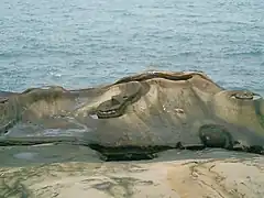 Fairy Shoe