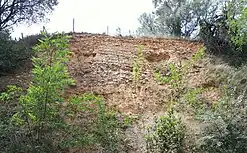 alternative1