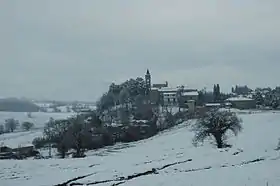 Farnetta