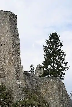 Image illustrative de l’article Farnsburg