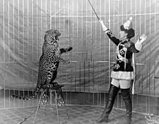 Femme domptant un léopard en 1906.