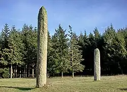 Menhirs jumeaux de la Ferme Lambert
