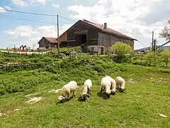 Ferme des Louisots (XVe&nbsp;siècle-XIXe&nbsp;siècle)