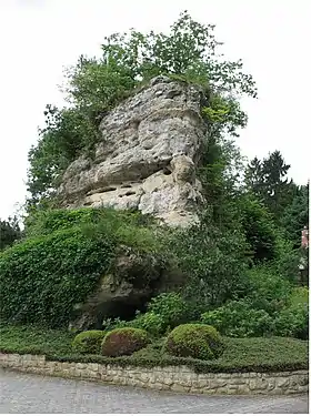 Stuppicht