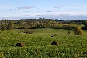 East Gwillimbury