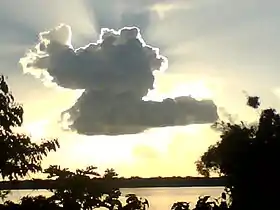 Mocajuba