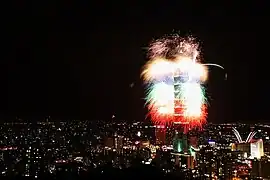 Feu d'artifice du Nouvel an 2008.
