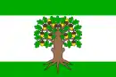 Drapeau de Český Dub