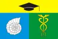 Drapeau du district