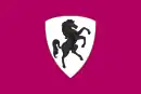 Drapeau de Arezzo