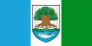 Drapeau de Astravets