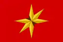 Drapeau de Bojkovice