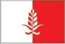 Drapeau de Češinovo-Obleševo