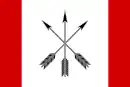 Drapeau de Tchyhyryne