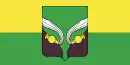 Drapeau de Dokchytsy