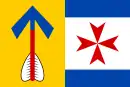 Drapeau de Drachkov