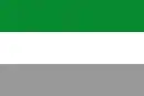 Drapeau de El Espino
