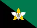 Drapeau de Enga
