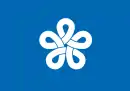 icône décorative