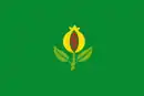 Drapeau de Granada