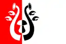 Drapeau de Bílý Újezd