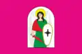 Drapeau de Hlobyne