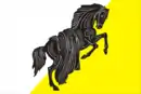 Drapeau de Raïon de Kasli
