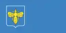 Drapeau de Klimavitchy