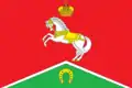 Drapeau du district