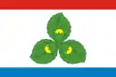 Drapeau de Raïon de Krasnozamensk