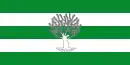 Drapeau de Líjar