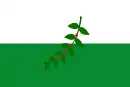 Drapeau de La Celia