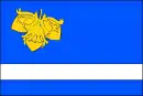 Drapeau de Leskovec