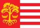 Drapeau de Ville de Loksa