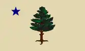 Drapeau du Maine de 1901 à 1909.