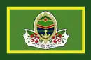 Drapeau de Maputo