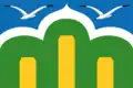 Drapeau du district