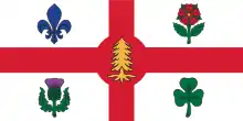 icône décorative