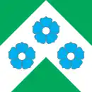 Drapeau de Mooste