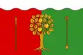 Drapeau du district