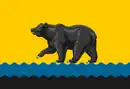 Drapeau de Nefteïougansk