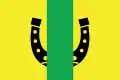 Drapeau du district