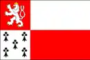 Drapeau de Nový Knín